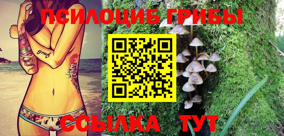 Чебаркуль  Галлюциногенные грибы ЛСД  Вход с VPN  Псилоцибиновые грибы ЛСД 