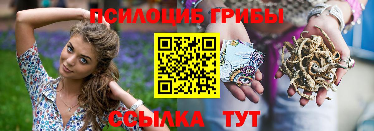 Псилоцибиновые грибы MAGIC MUSHROOMS Чебаркуль